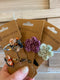 Tiny Handmade Flower Hairpins (Snap Clips)